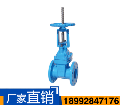 Z41X（RRHX）明杆弹性座封闸阀